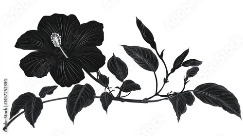 Black Hibiscus Branch