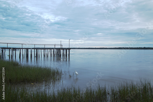 Wooden logs pier in a foggy morning. Green vegetation on the shore, white heron standing on water, silhouettes on horizon line.