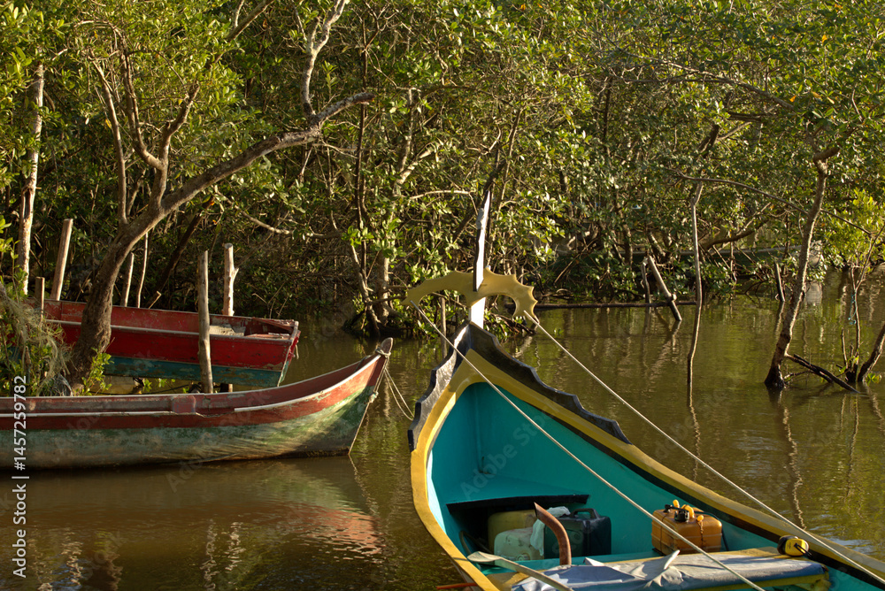 Obraz premium Colorful boat anchored at shore in middle mangrove trees