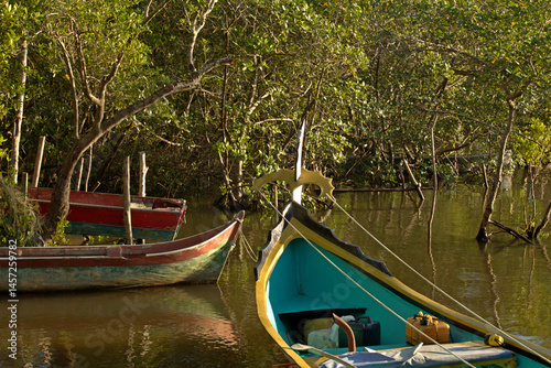 Colorful boat anchored at shore in middle mangrove trees