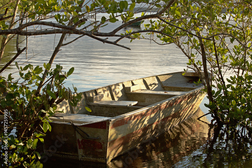 Boat anchored in middle mangrove vegetation in sunset time, reflections calm water, no people, 