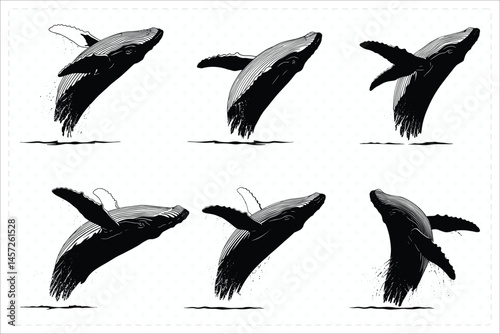 Black silhouette of breaching whale vector