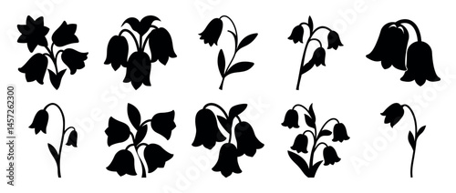Black silhouettes of bellflower plants on a white background, minimal vector