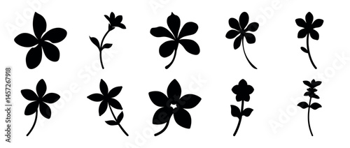 Black and white silhouettes of various flower and plant species shapes