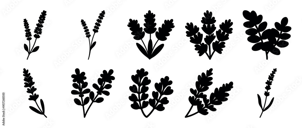 Fototapeta premium A collection of black silhouette style lavender and leaf botanical illustrations