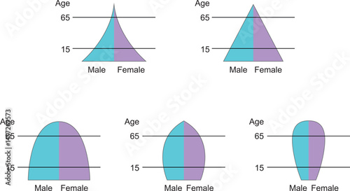 Population Pyramid Demographic Transformation Model. 5 Population Pyramid Chart or Age Structure Chart Isolated on White Background
