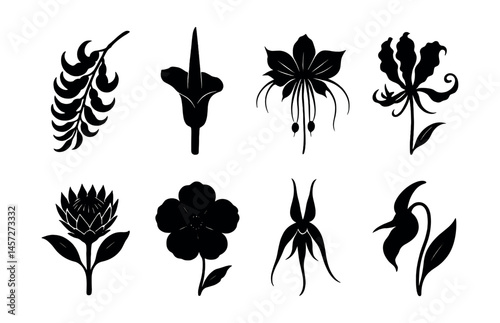 Exotic flower silhouettes icons set – fern, lily, orchid, gloriosa, protea, hibiscus. Vector icons set