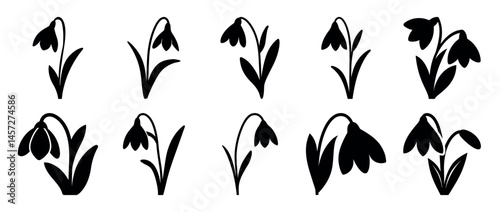 A collection of stylized black silhouette snowdrop flower illustrations on white