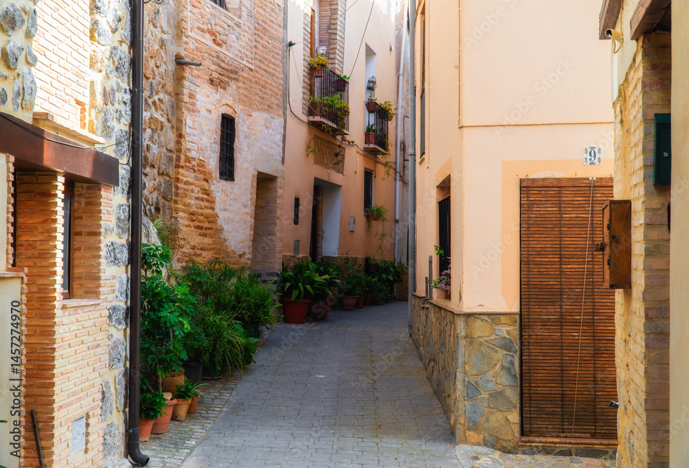 Fototapeta premium Beautiful old street decorated with flowers and plants, in Jérica, Comunidad Valenciana (Spain). 