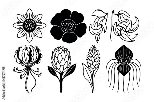 Elegant floral silhouette icons set – exotic bloom, petals, leaves, tropical, minimalistic design. Vector icons set