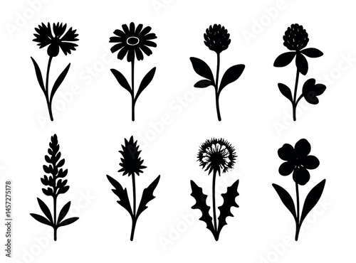 Wildflower silhouette icons set – daisy, clover, lavender, thistle, dandelion, petal. Vector icons set