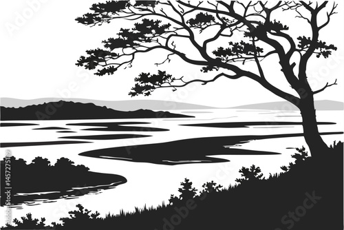 25 Black and white abstract landscape, high contrast, aerial view of water bodies, geometric shapes, ripples and reflections, minimalist art, graphic design style, stark shadows, organic patterns, liq