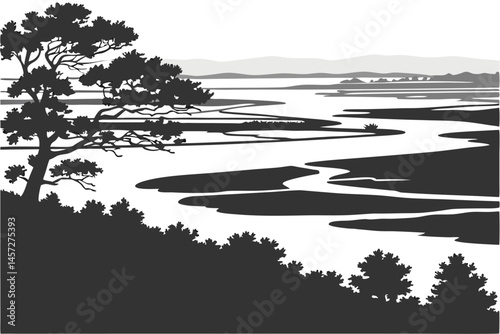 25 Black and white abstract landscape, high contrast, aerial view of water bodies, geometric shapes, ripples and reflections, minimalist art, graphic design style, stark shadows, organic patterns, liq