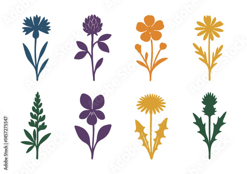Wildflower silhouette icons set – daisy, clover, thistle, orchid, dandelion, sunflower. Vector icons set