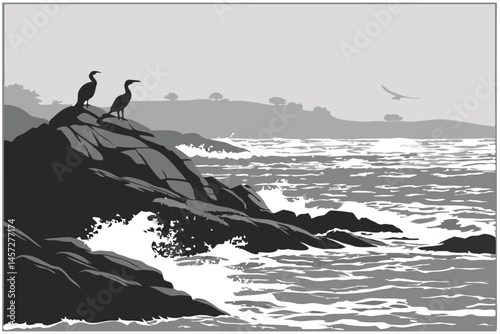 26 black and white photography, seabirds on rocks, silhouettes, cormorants, waves crashing, coastal scene, high contrast, dramatic lighting, wildlife, ocean, spray, monochrome, nature photography, min