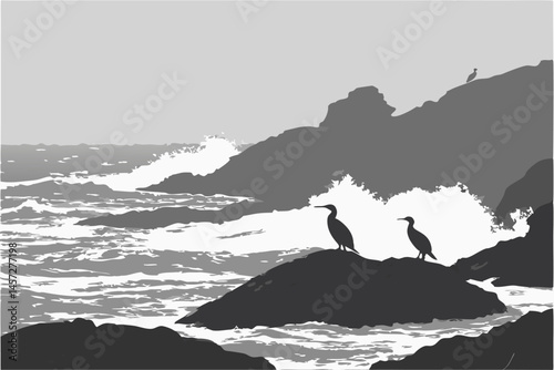 26 black and white photography, seabirds on rocks, silhouettes, cormorants, waves crashing, coastal scene, high contrast, dramatic lighting, wildlife, ocean, spray, monochrome, nature photography, min