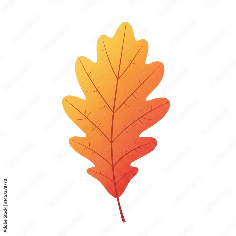 Fototapeta premium Orange and Yellow Autumn Leaf Illustration on White