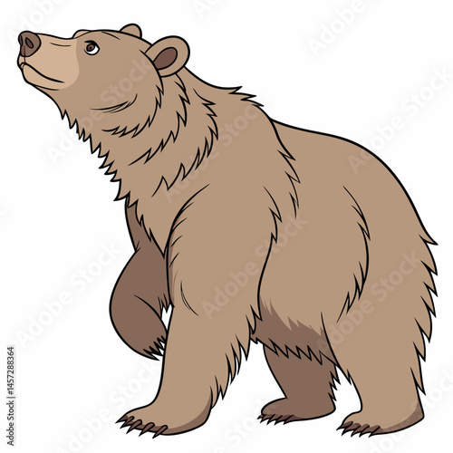 Brown bear standing with an inquisitive expression