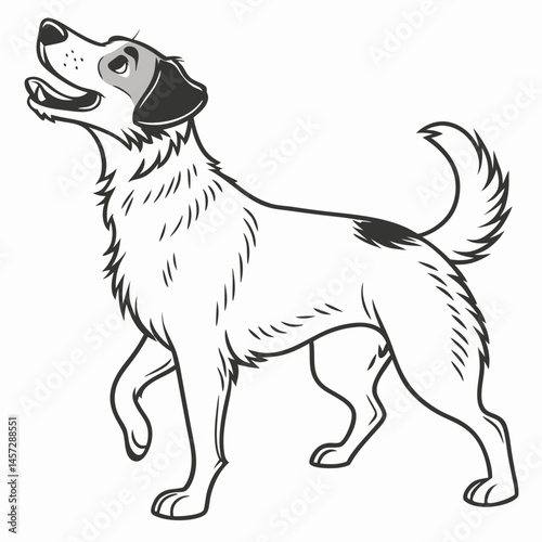Happy dog walking with tail wagging on white background