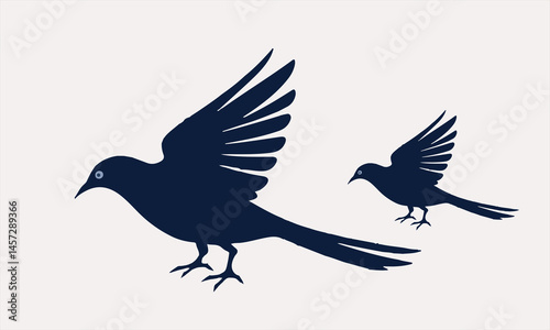 Silhouetted bird in  a flight against white background with shadow