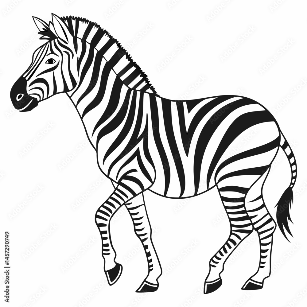 Fototapeta premium Zebra walking in black and white illustration