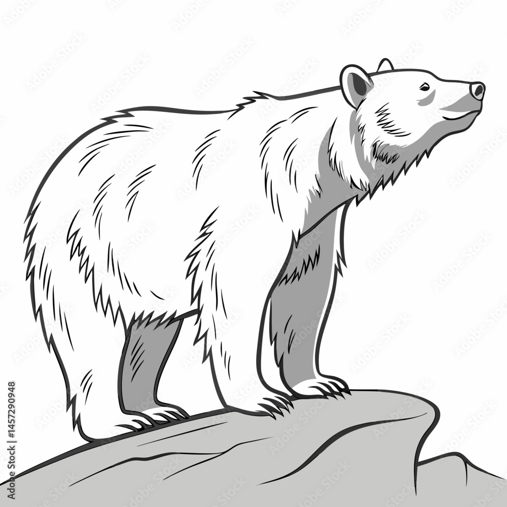 Fototapeta premium Bear standing proudly on a rock