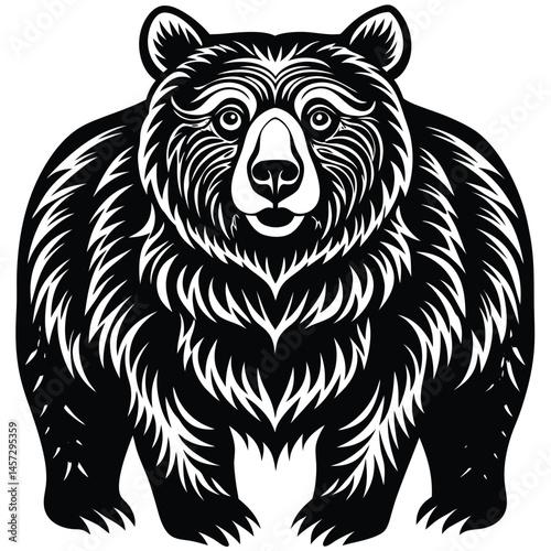 brown bear vector