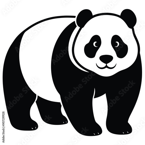 panda bear vector illustration art