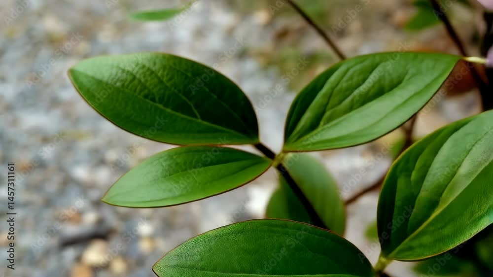 Delicate pink flowers bloom among lush green leaves in natural setting, representing spring and natural beauty. Delicate pink flowers bloom among lush green leaves in natural setting, representing spring and natural beauty.
