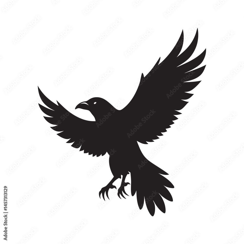 Fototapeta premium Raven Flying With Spread Wings