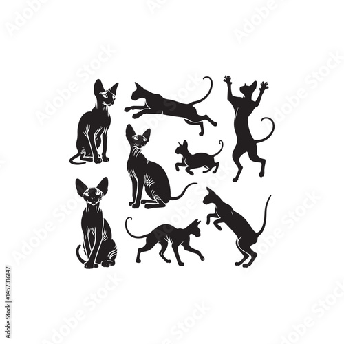 Unique Elegance: A Captivating Collection of Sphynx Vector Silhouettes Highlighting the Distinctive Hairless Body, Graceful Posture, and Playful Personality of This Charismatic Feline Breed.
