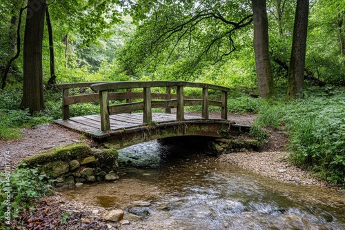Wooden arched bridge over a babbling brook in a lush green forest.  Pathway leads into a shaded woodland scene