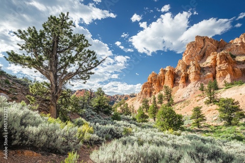 Sunny canyon with rock formations and a lone tree, surrounded by shrubs and greenery under a partly cloudy sky