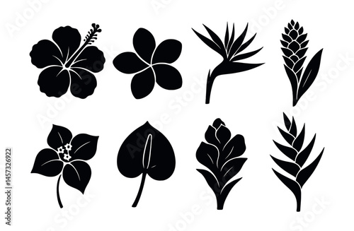 Tropical flower silhouettes icon set – hibiscus, plumeria, bird of paradise, heliconia. Vector icons set