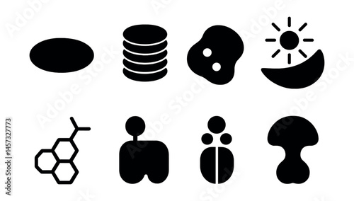 Photosynthesis process icons set – molecule, chloroplast, sunlight, starch, leaf, cell, enzyme, energy. Vector icons set