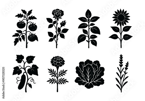 Silhouette garden plants icons set – tomato, rose, basil, sunflower, cucumber, marigold, cabbage, lavender. Vector icons set