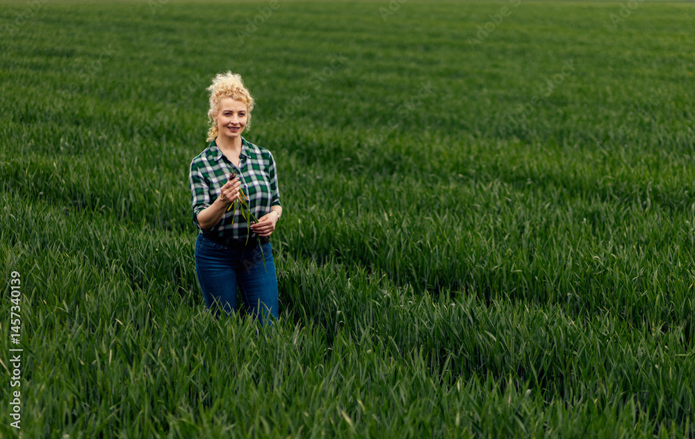 Fototapeta premium Adult female farmer standing in green wheat field examining root of a crop.