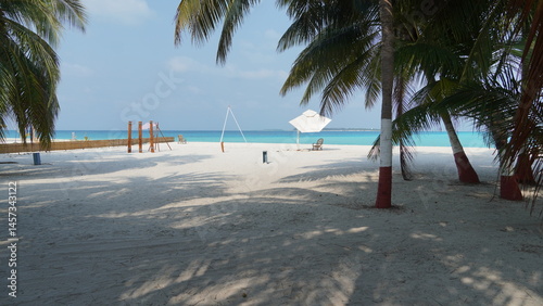Fototapeta Naklejka Na Ścianę i Meble -  tropical beach with palm trees
