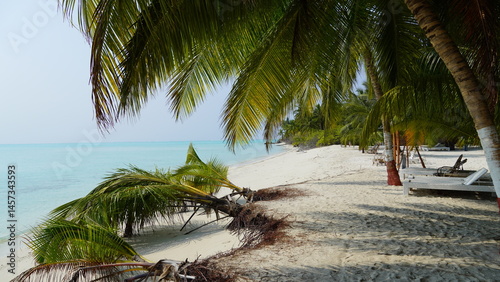 Fototapeta Naklejka Na Ścianę i Meble -  tropical beach with palm trees