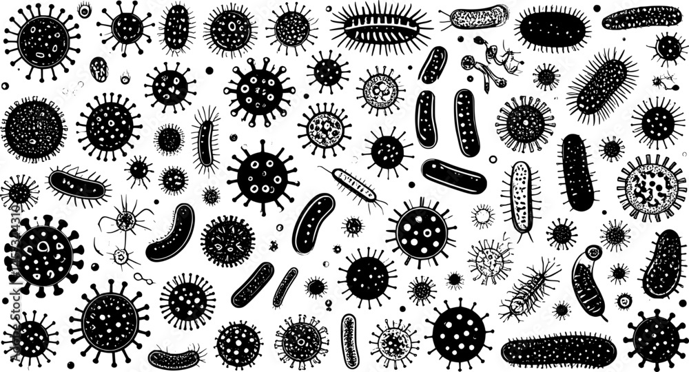 Fototapeta premium Set of various bacteria and virus icons, detailed vector illustration. Black and white designs of microorganisms with diverse shapes and structures.