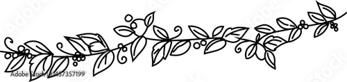 Classic Herb Divider - Hand-drawn botanical leaf divider in black and white line art, perfect for elegant nature-themed designs