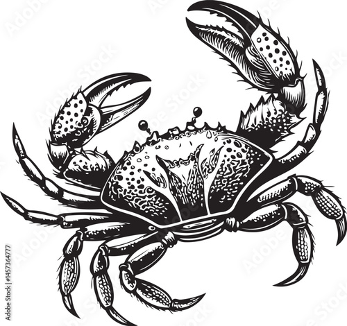 King crab or Snow Crab Seafood Black and White Vector Illustration, Sketch Drawing Line Linear Symbol Icon Engraving, Hand-drawn Isolated
