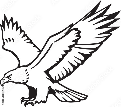 Powerful eagle flying in aggressive hunting position with sharp claws in silhouette for wild animal art use