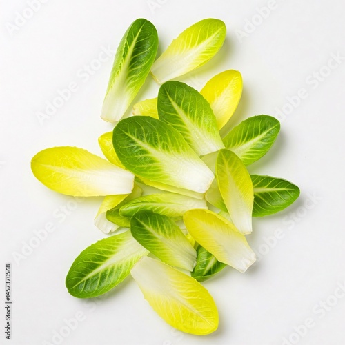 Endive chicory leaves top view isolated on white background.