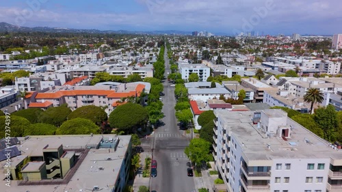 Aerial View of Santa Monica Residential Neighborhood with Palm-Lined Streets