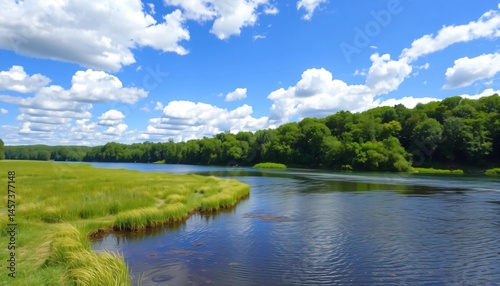 summer landscape with river
