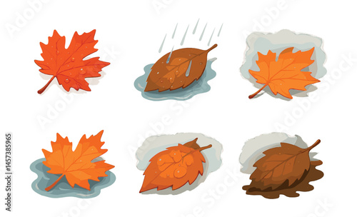 Autumn leaves icons set – orange, dew, rain, mud, maple, falling. Vector icons set
