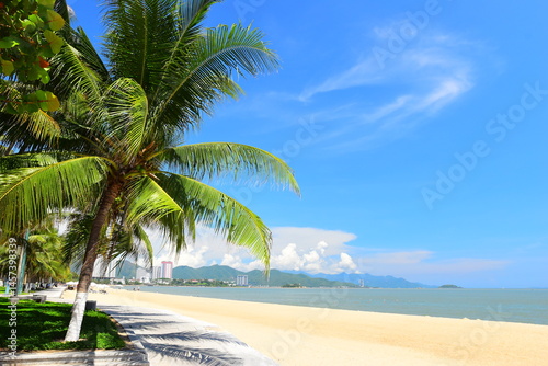 Fototapeta Naklejka Na Ścianę i Meble -  Nha Trang city, Vietnam - October 29, 2024 : Overlooking the beautiful coast of Nha Trang with palm trees on the beach with deck chair and parasol. Beautiful white sand tropical beach in coastal city.