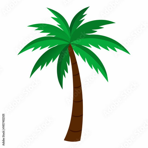 Colour plam tree silhouette on white background