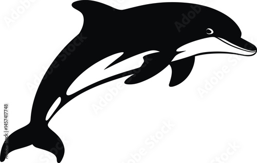 A vector silhouette shows a jumping dolphin, a marine mammal of the sea